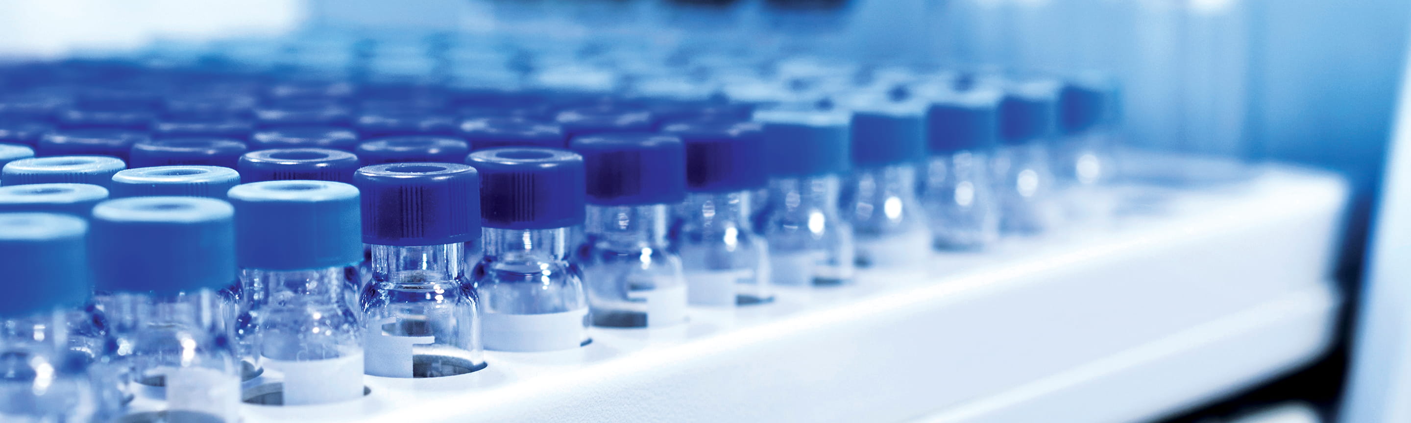 Several rows of blue-capped medical vials sit on a shelf.