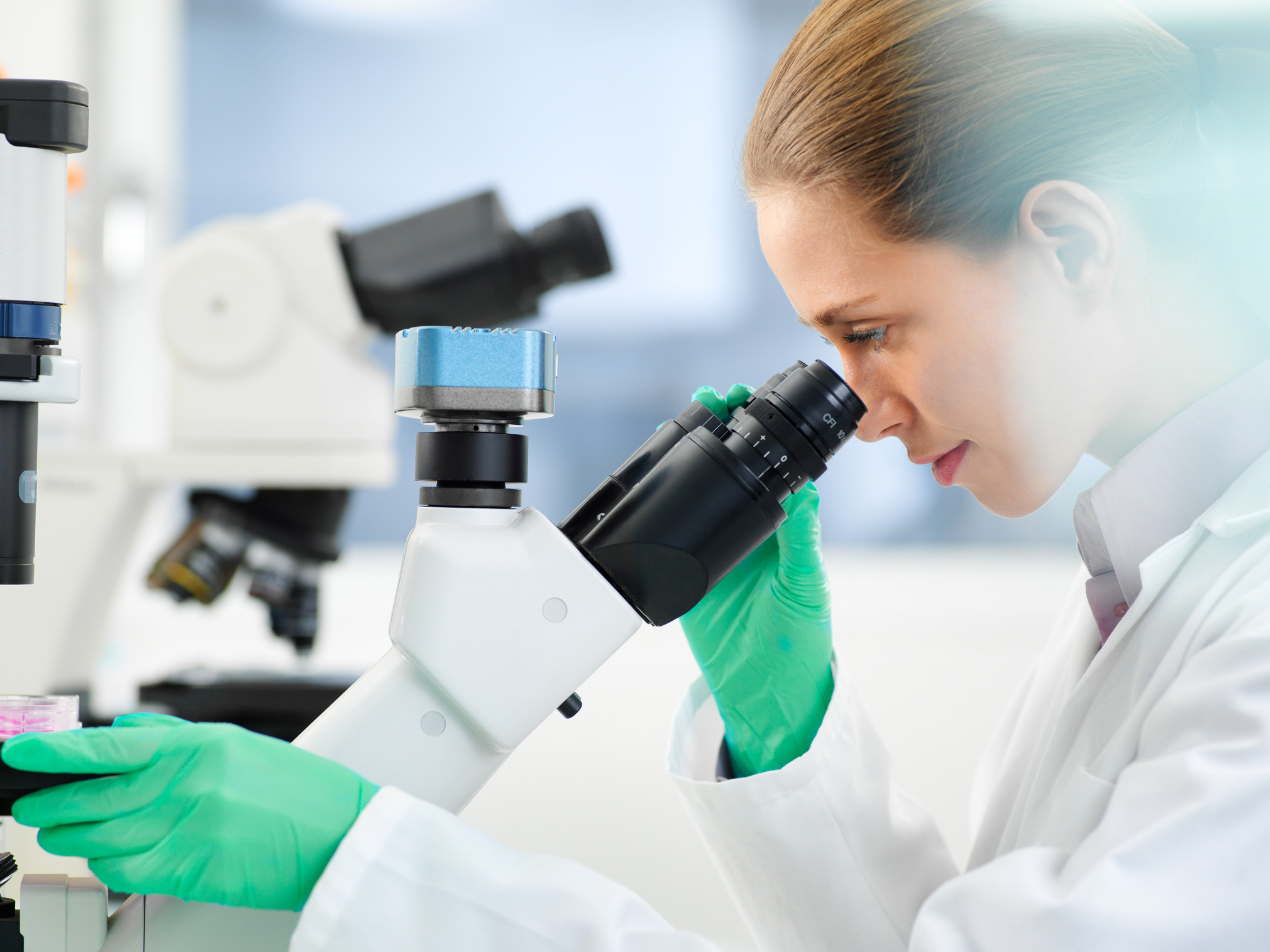 Health system leaders planning a cell and gene therapy program.