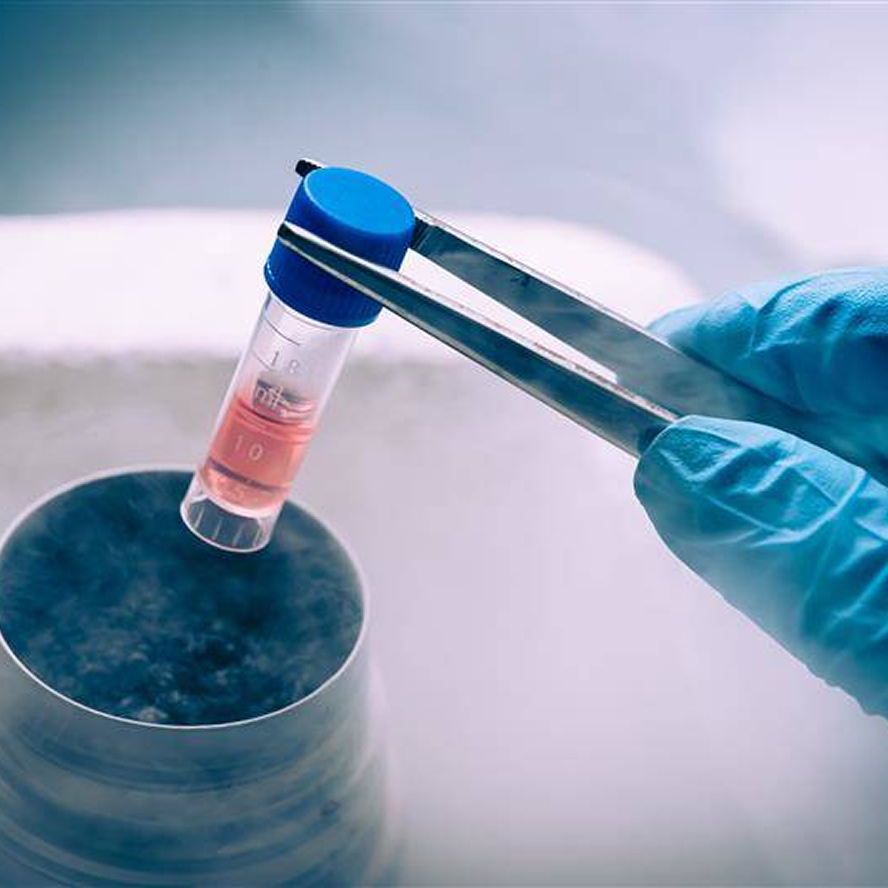 Cryogenics involves producing, storing, or studying materials at extremely cold temperatures