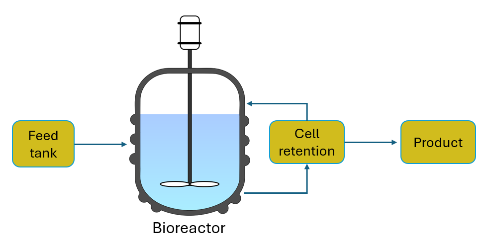 Digital twins resource article image