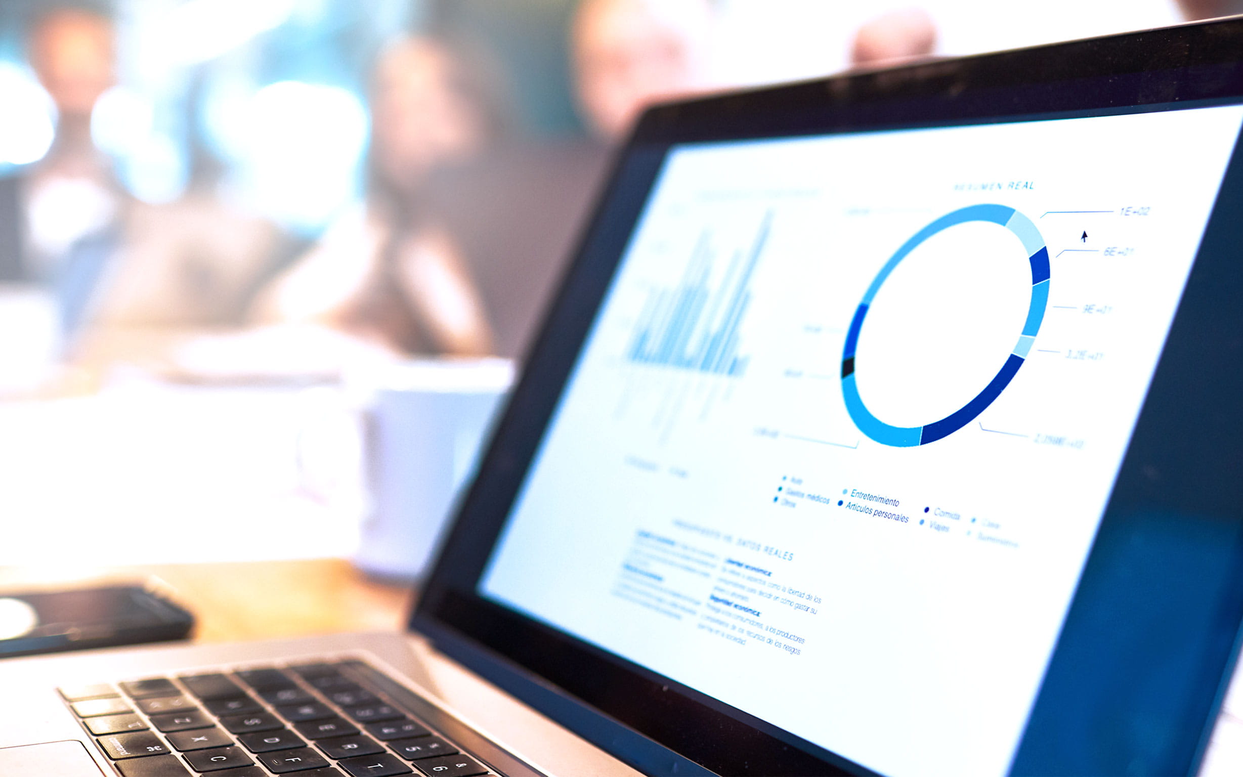 Computer screen with graphs