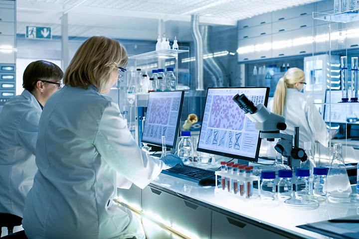 Scientists in a laboratory