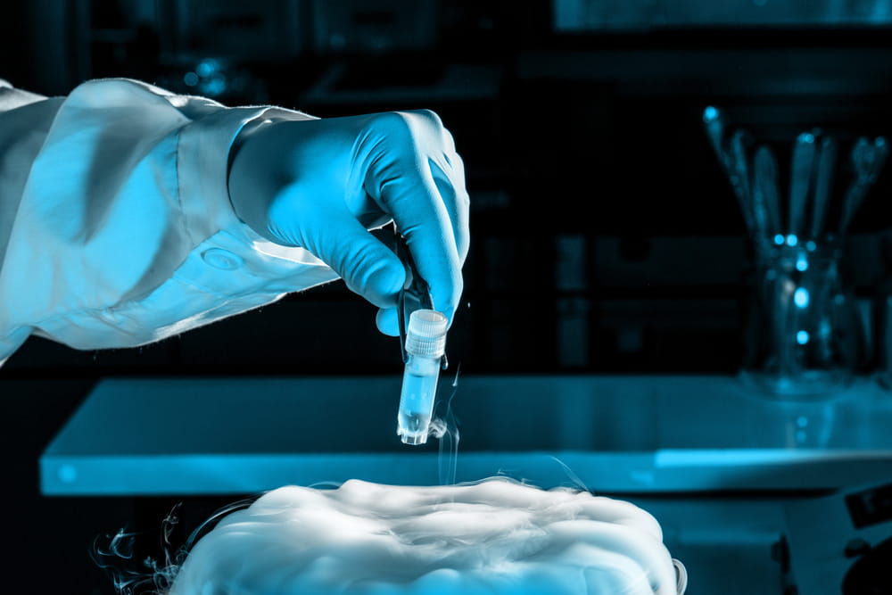  Investing in cryogenic transport systems and storage infrastructure, proven methodologies, and processes